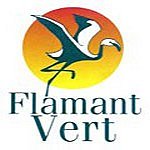 FLAMANT VERT